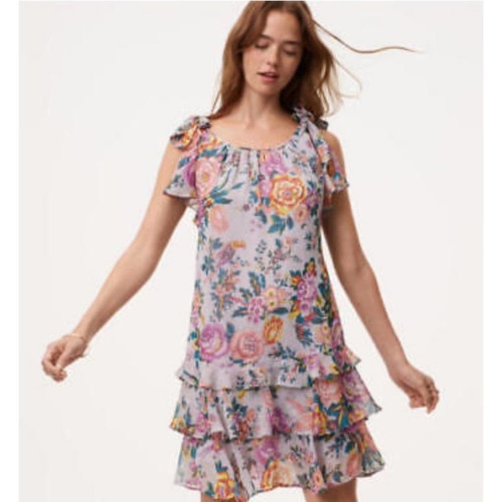 Ann Taylor Loft Bird Garden Flounce Dress